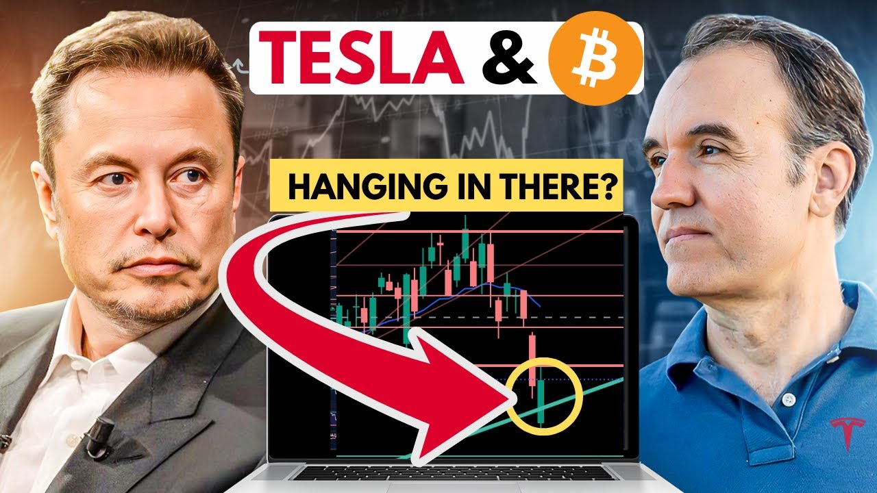 Tesla stock drop, how bad is it?