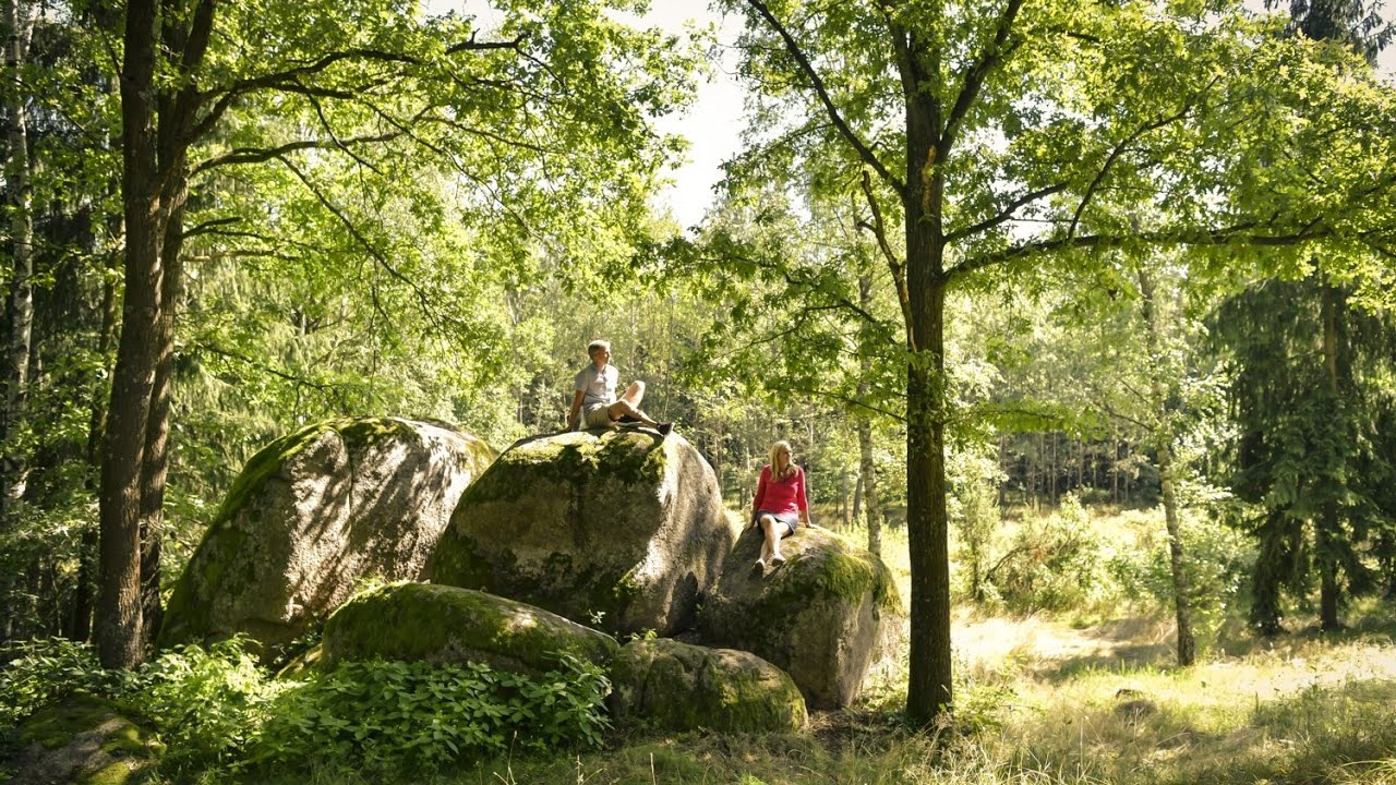 Erholungs- und Regenerationsraum Wald