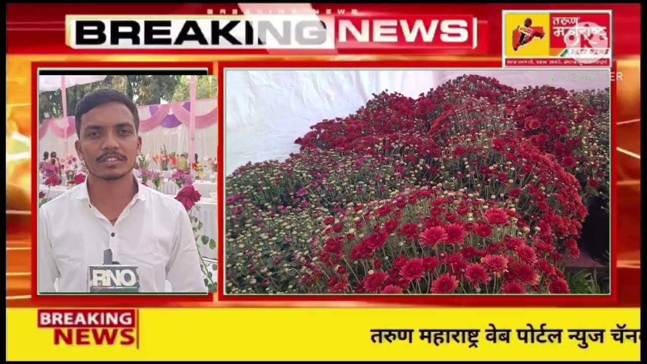 छ.संभाजीनगर-46 व्या पुष्प प्रदर्शनाला फुल प्रेमींचा मोठा प्रतिसाद,प्रदर्शनात शेकडो प्रकारच्या फुलांच