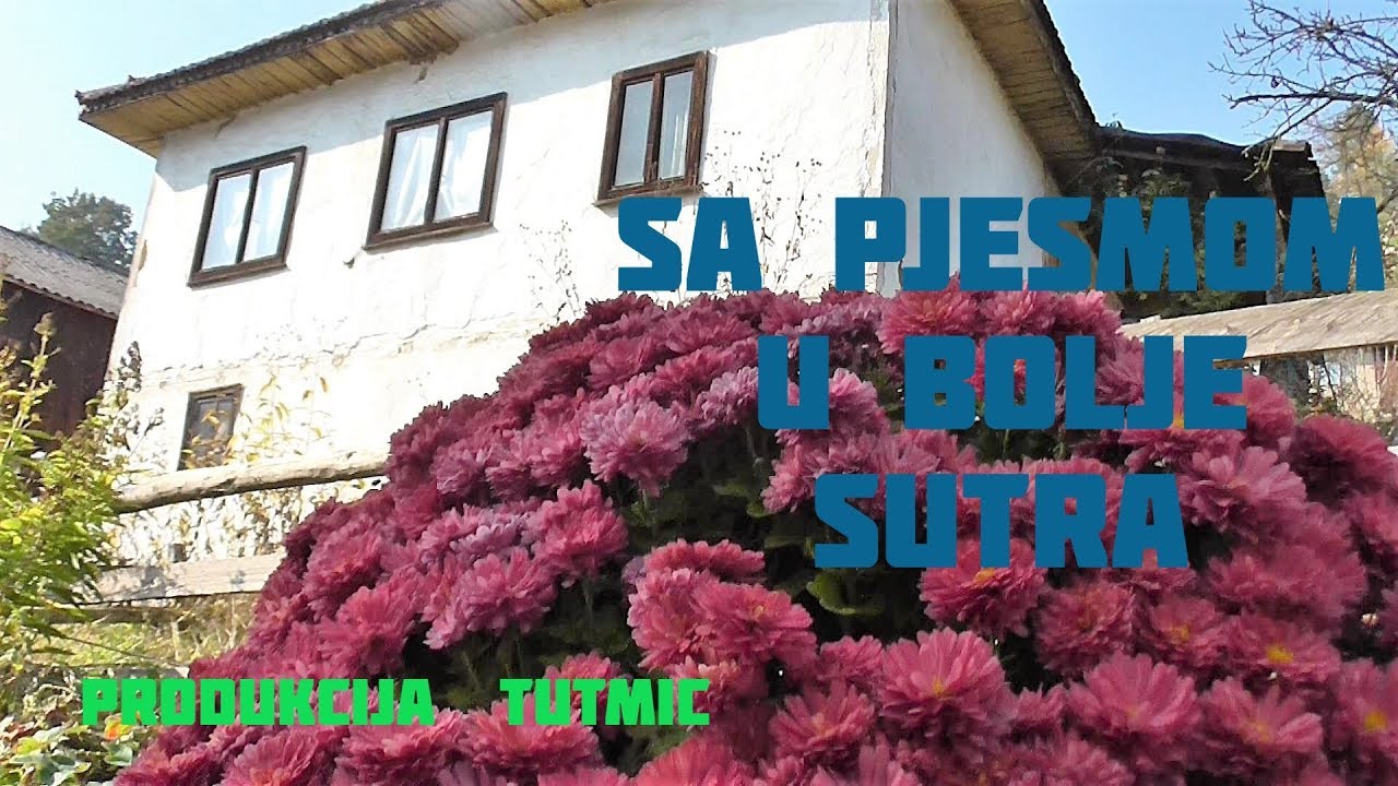SA PJESMOM U BOLJE SUTRA (Prica iz Sela  Smajici)