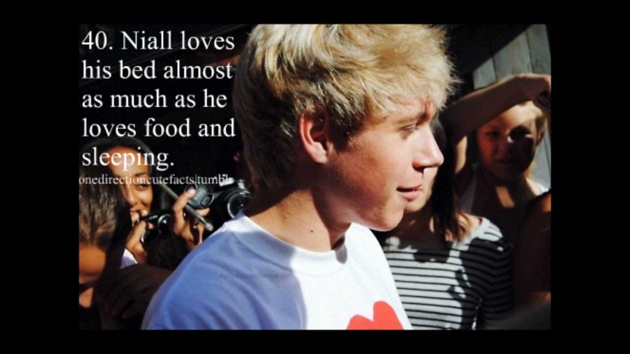 Interesting Facts About Niall Horan