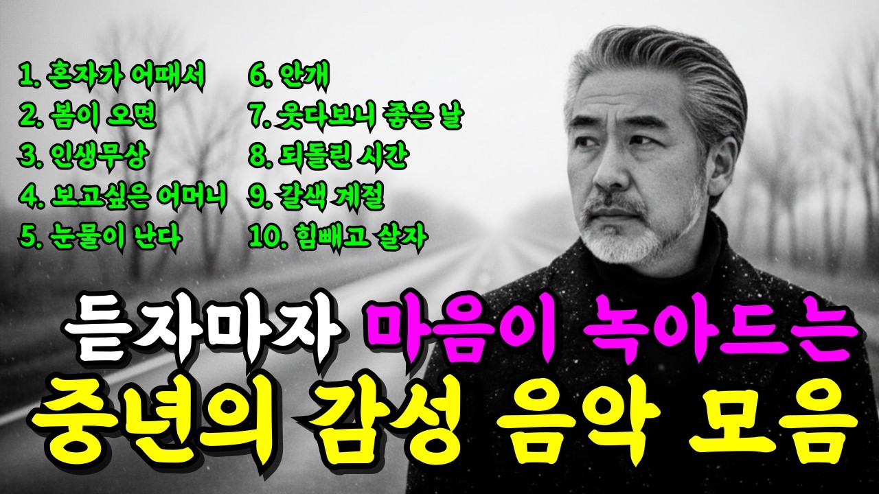 듣자마자 가슴을 울리는 중년 감성 트로트 메들리 I 100% 공감되는 인생 노래 추천 모음