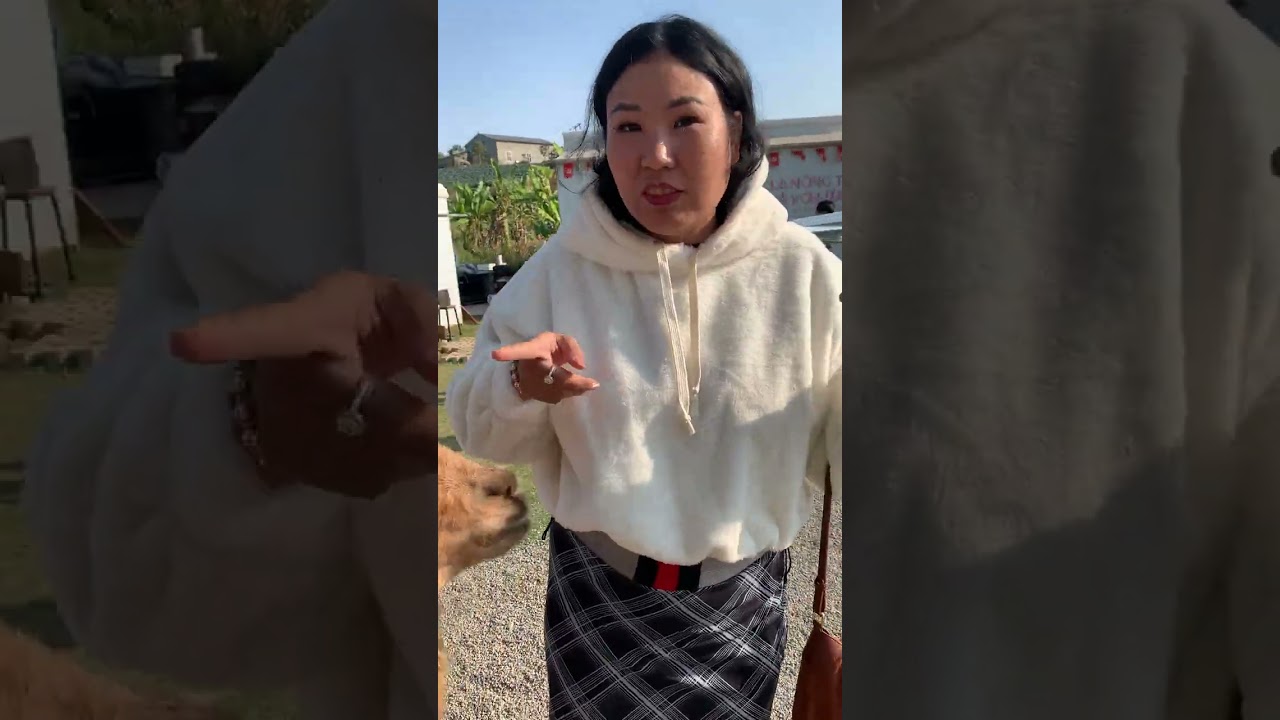 Mật pet farm - mường sang - mộc châu - sơn la 2026