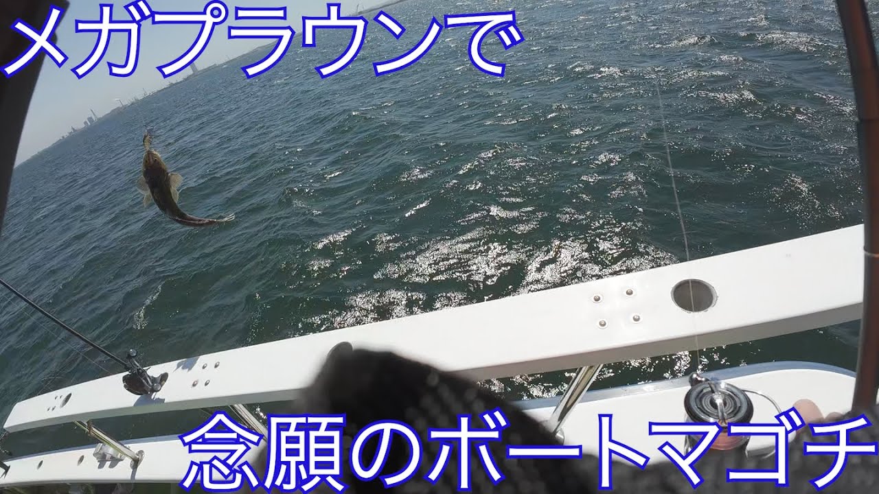 【メガプラウン】マゴチがめっちゃ釣れるワームで念願のマゴチを釣るまで【金沢八景】
