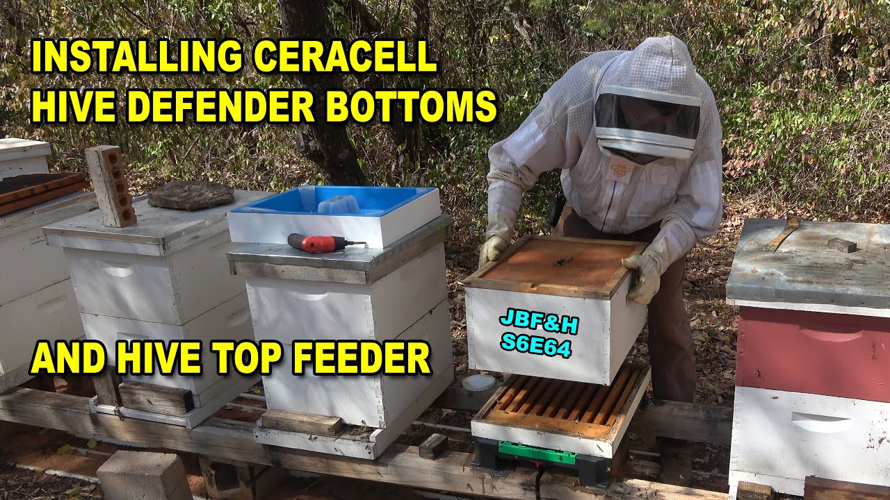 Installing Ceracell hive components S6E64 #beekeeping #ceracell