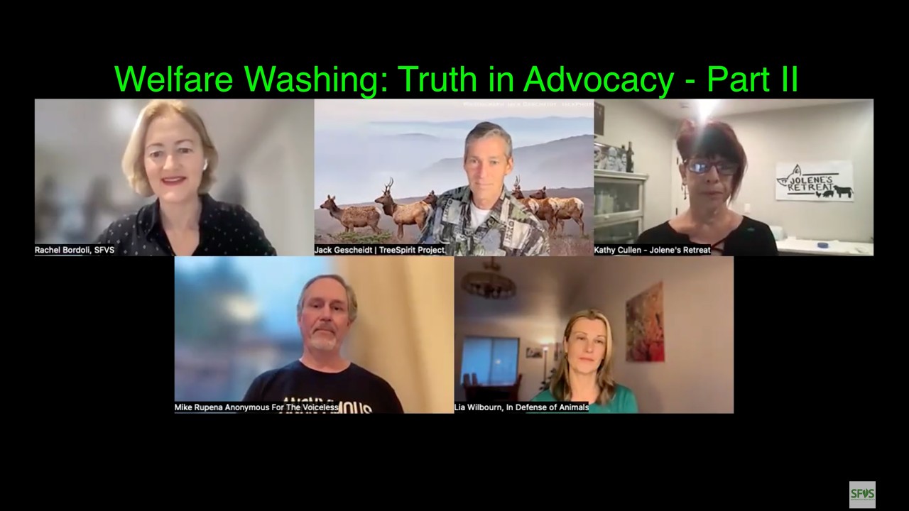 Welfare Washing: Truth in Advocacy - Part II