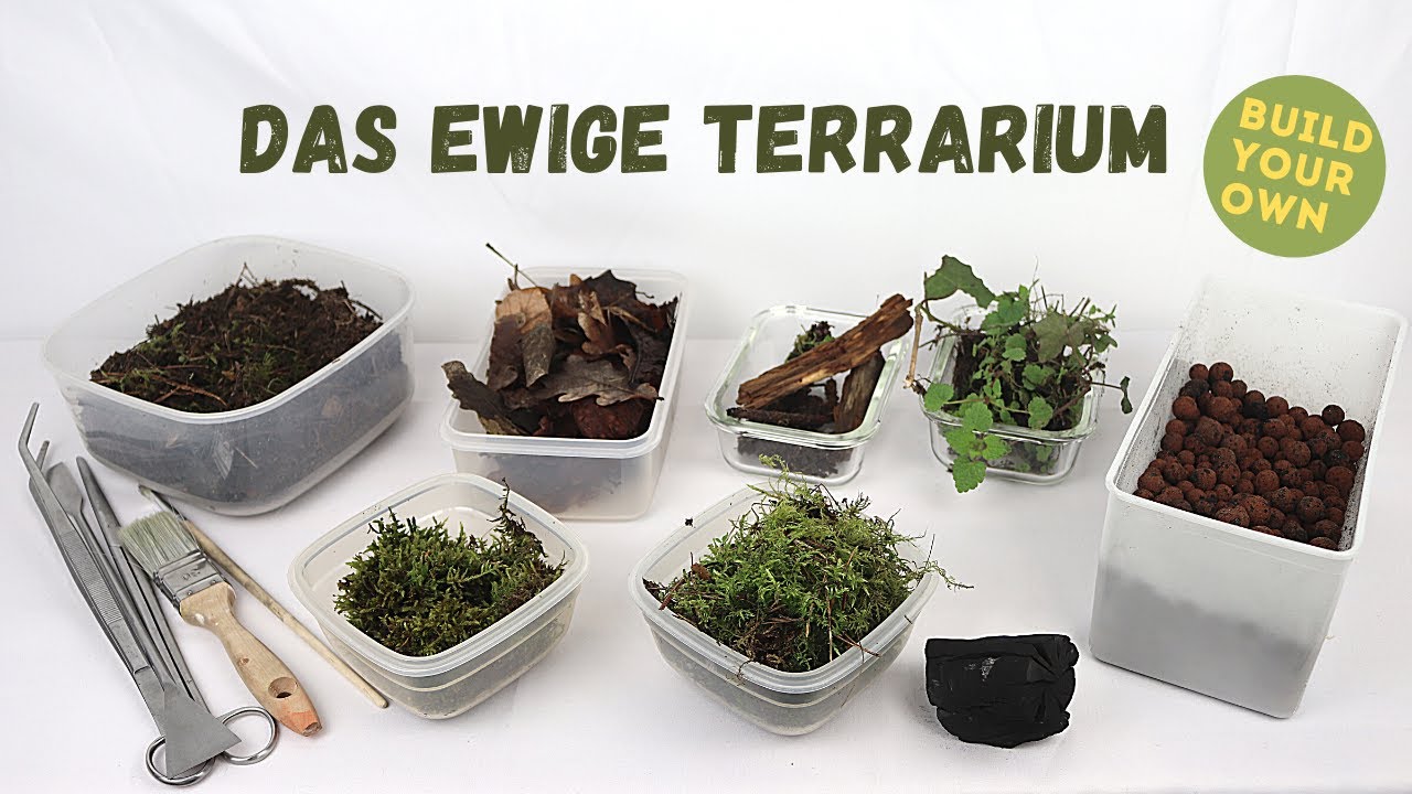 Das Ewige Terrarium | Hermetosphäre DIY#1