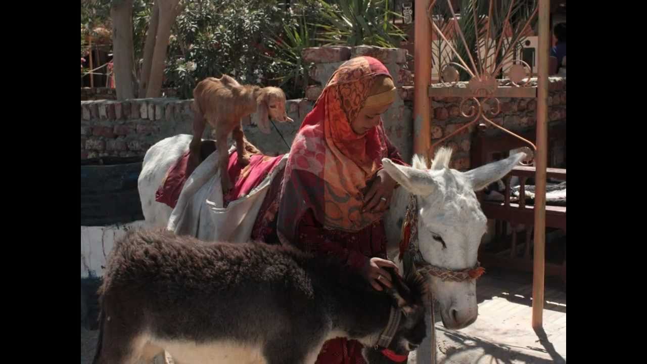 Egypt - everyday life
