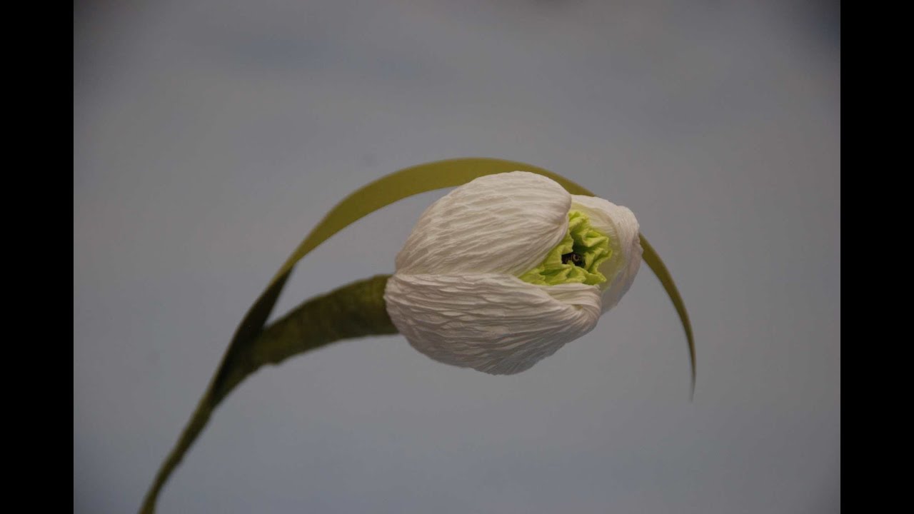 МК Подснежники для букета из конфет. DIY Snowdrop of sweets