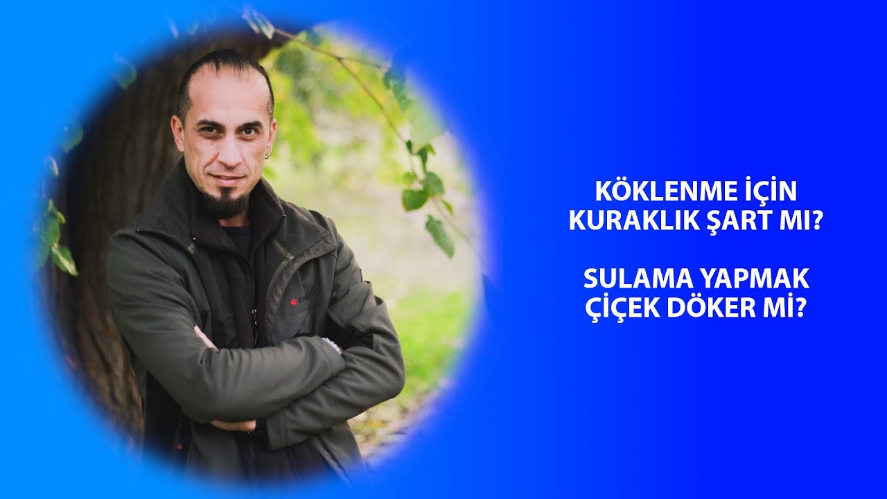 Sebze ve Meyvelerde Sulama Nasıl Yapılır? (Sulama Programında Dikkat Edilecek Hususlar)