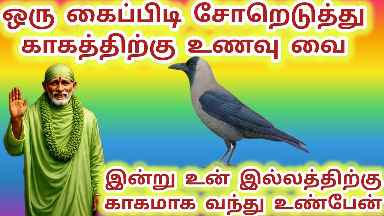 ஒரு கைப்பிடி சோறெடுத்து காகத்திற்கு உணவு வை இன்று உன் இல்லத்திற்கு வந்து உண்பேன் #sai #saibaba 
