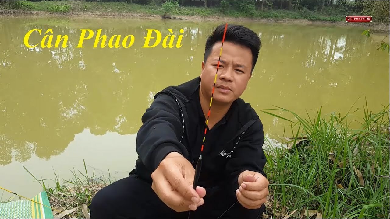 Hướng dẫn cân phao câu đài đơn giản nhưng không phải ai cũng biết