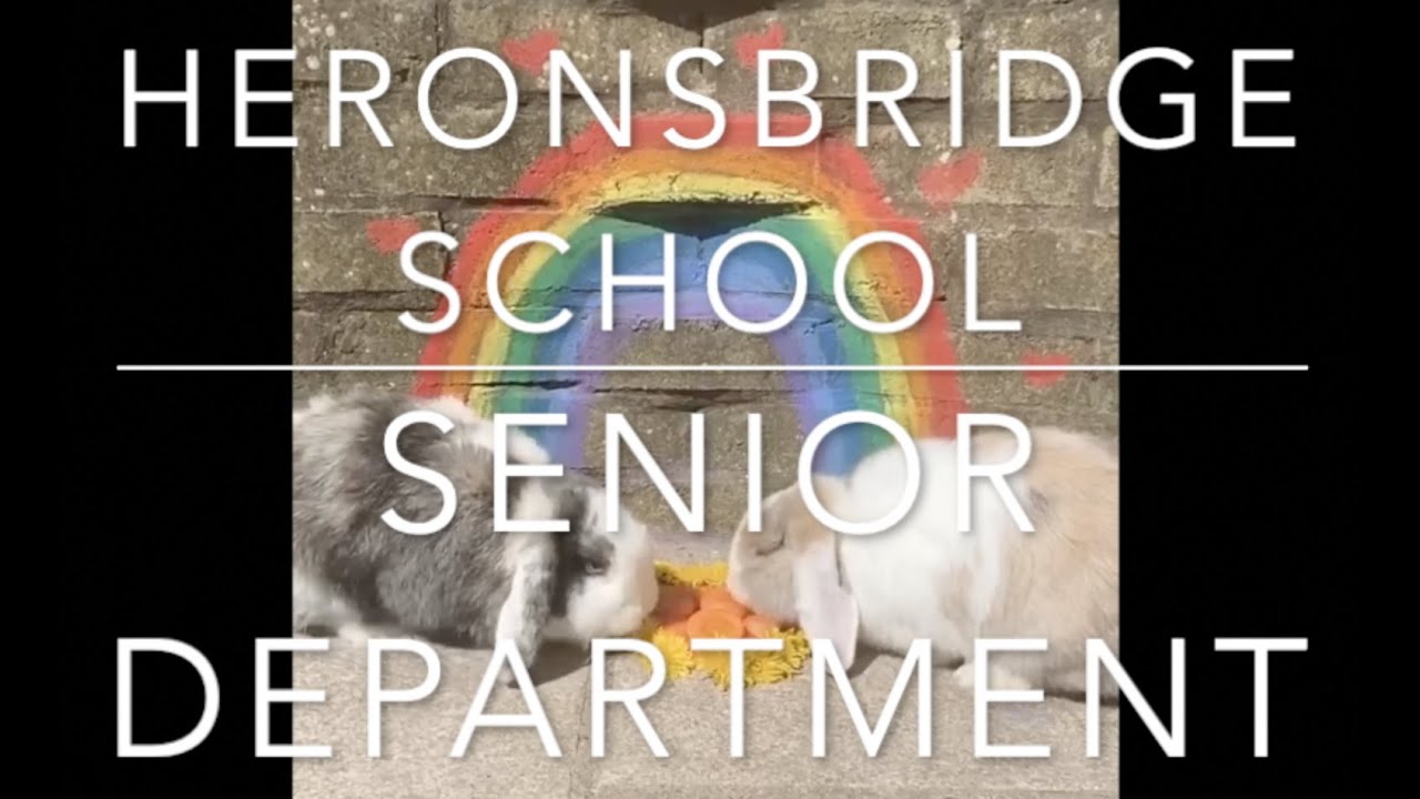 Heronsbridge School Senior Department - Happy