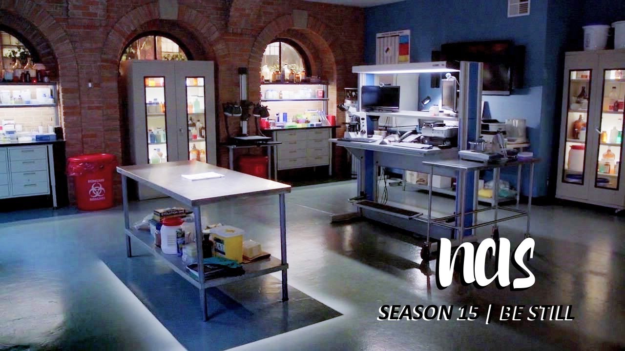 What Makes Season 15 the Most Epic NCIS Season Yet