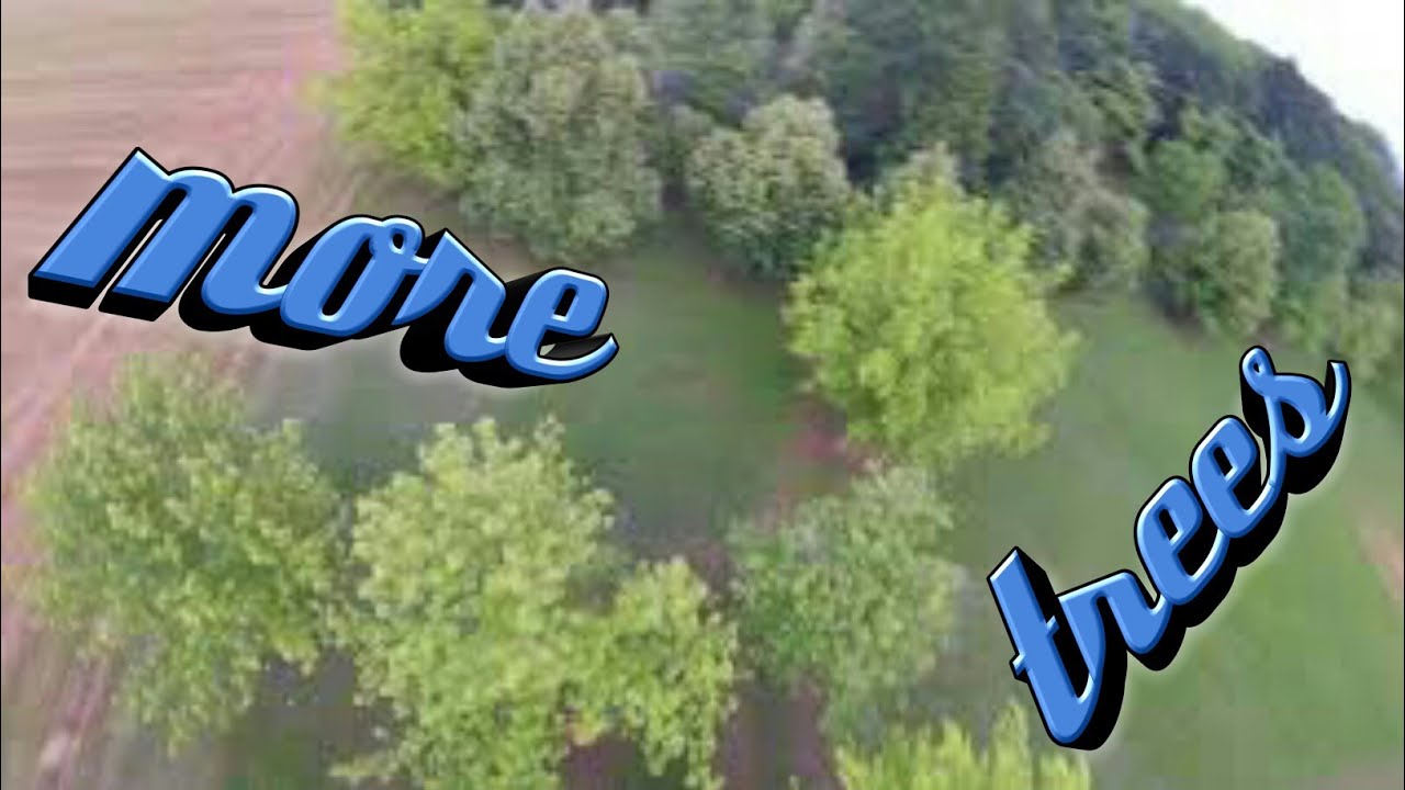 After the rain - practicing FPV freestyle