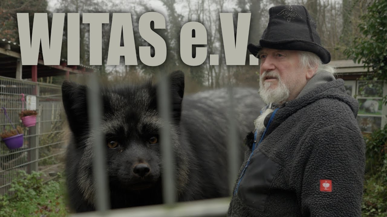 Ein Ort für Wildtiere – Witas e.V. mit Hartmann Jenal