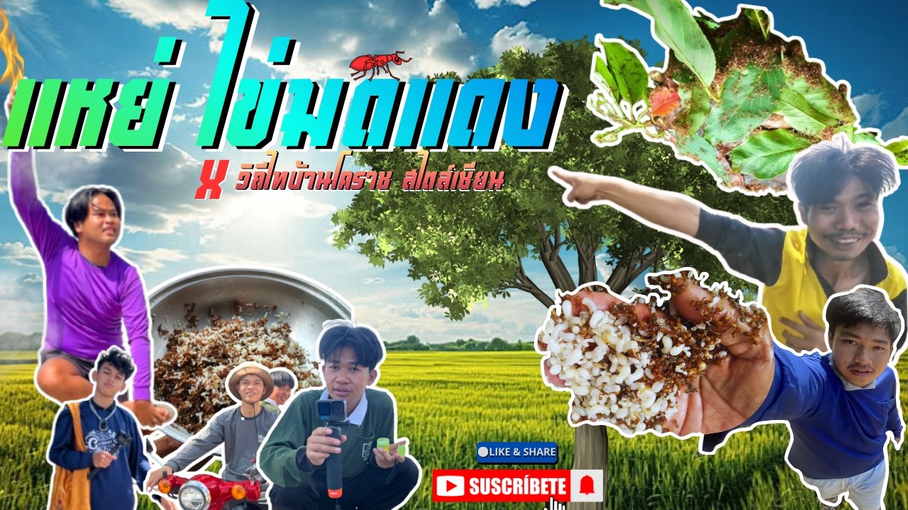 โคราช สไตลเซียน EP. 02  ตอน แหย่ไข่มดแดง