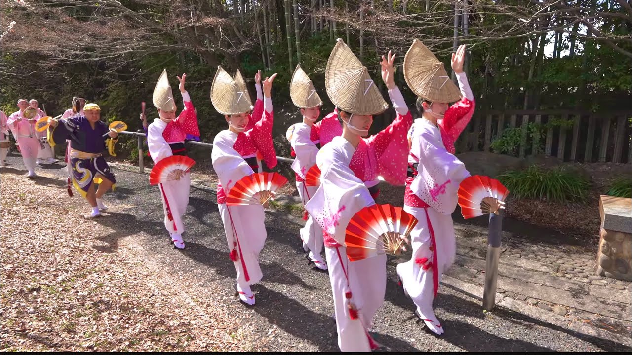 [2026] Suginami Umeriya Festival Shinobu Ren Awa Odori Dance Performance / Koenji Awa Odori 02.28