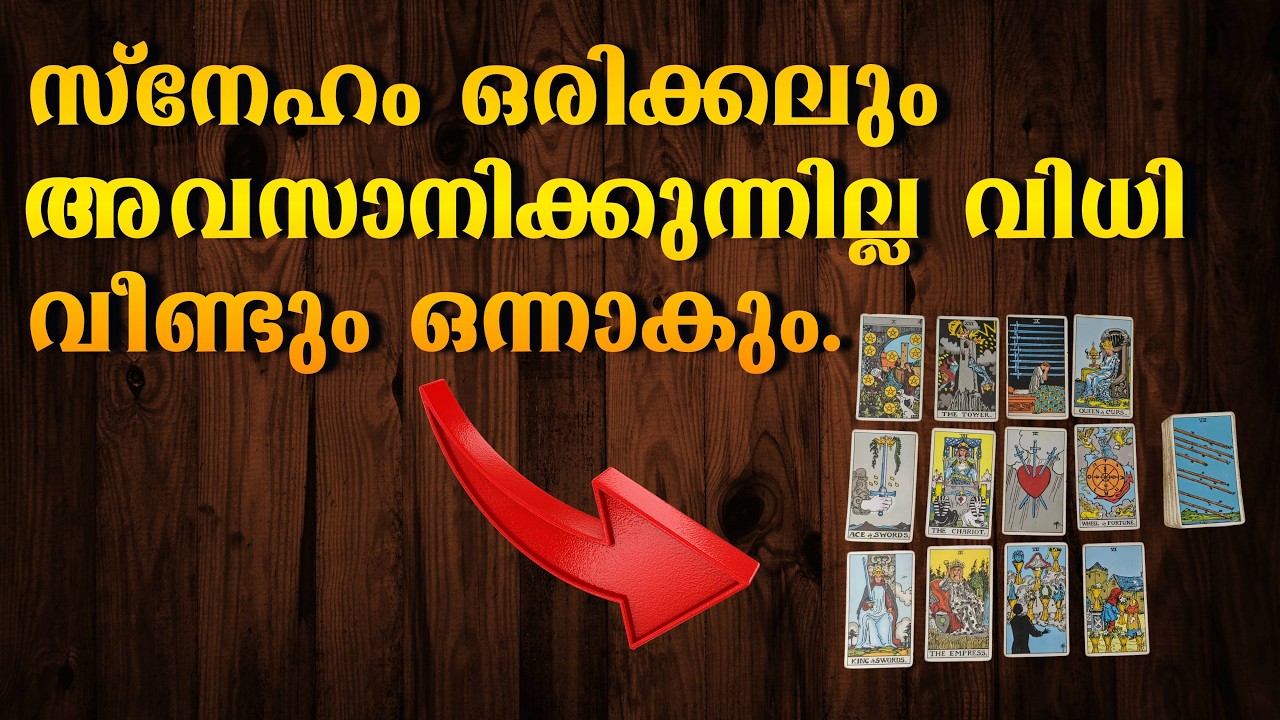 സ്നേഹം ഒരിക്കലും അവസാനിക്കുന്നില്ല വിധി വീണ്ടും ഒന്നാകും.