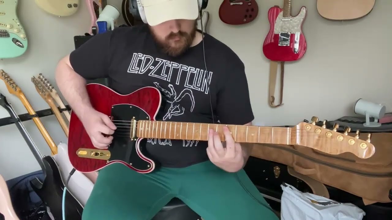 Lollar Special T bridge and Vintage T neck