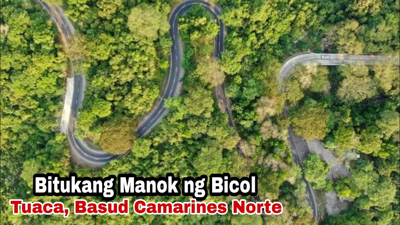 Bitukang Manok ng Bicol / Tuaca, Basud Camarines Norte