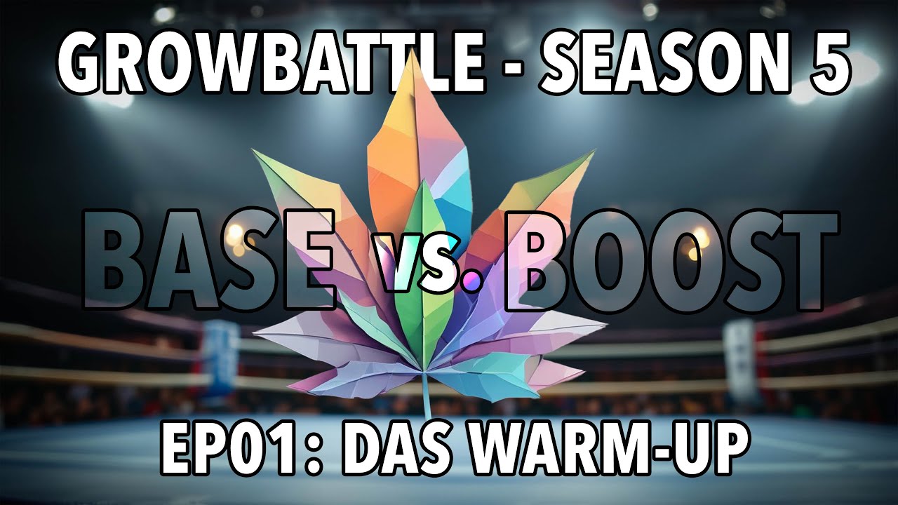 GROWBATTLE 5 💥 BASE vs  BOOST 🥦 EP01 Warm Up 🌱 2x Wifi OG Haze 💪🏻by Vivosun & GanjaFarmer