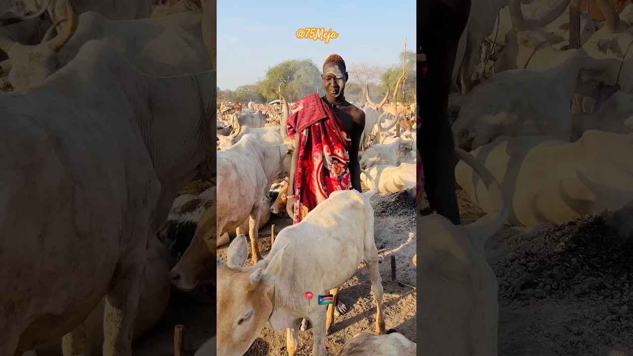 Short interview at the cattle camp, South Sudan. 