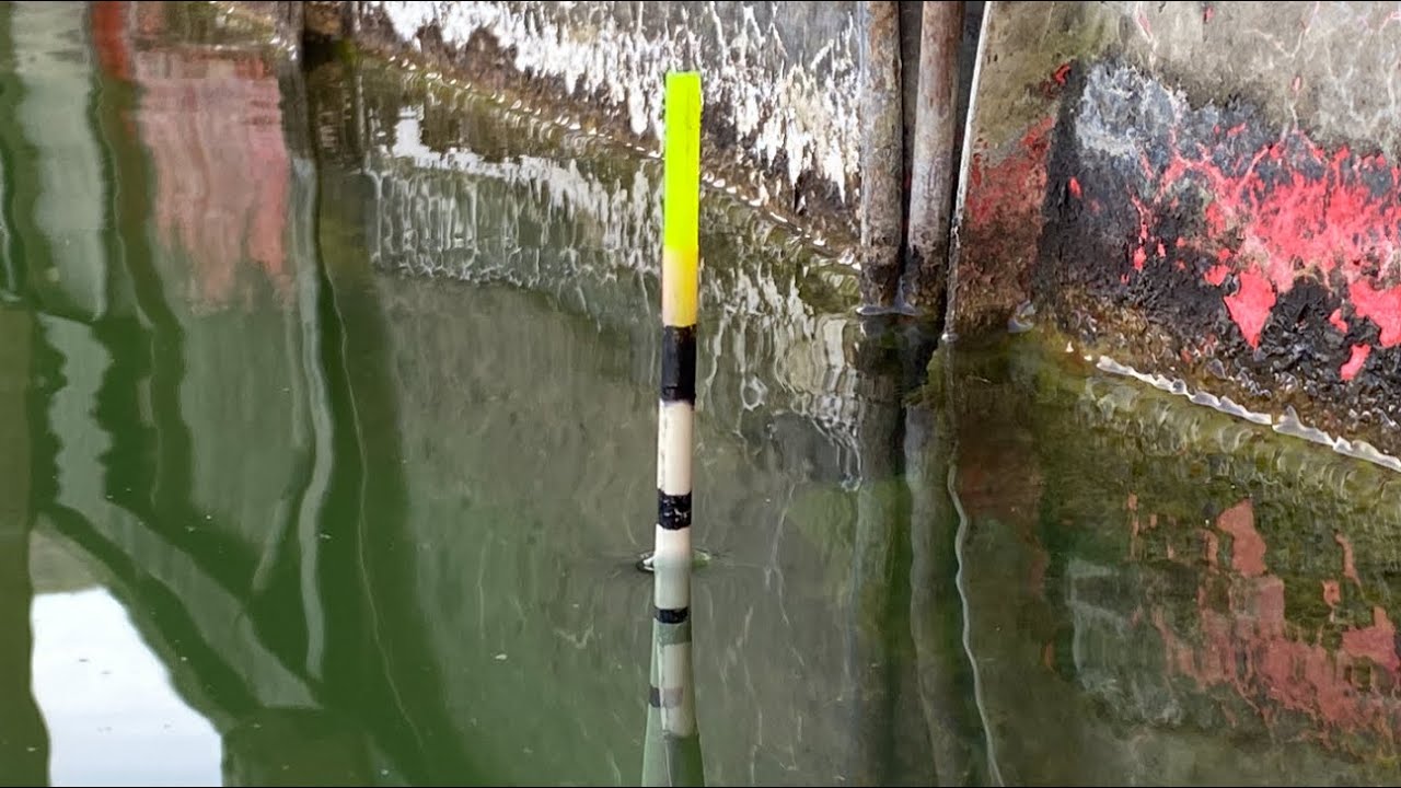 Pecanje Bodorke na crva - RAJ NA ZAMLJI (Zavojsko jezero) Ribolov na plovak