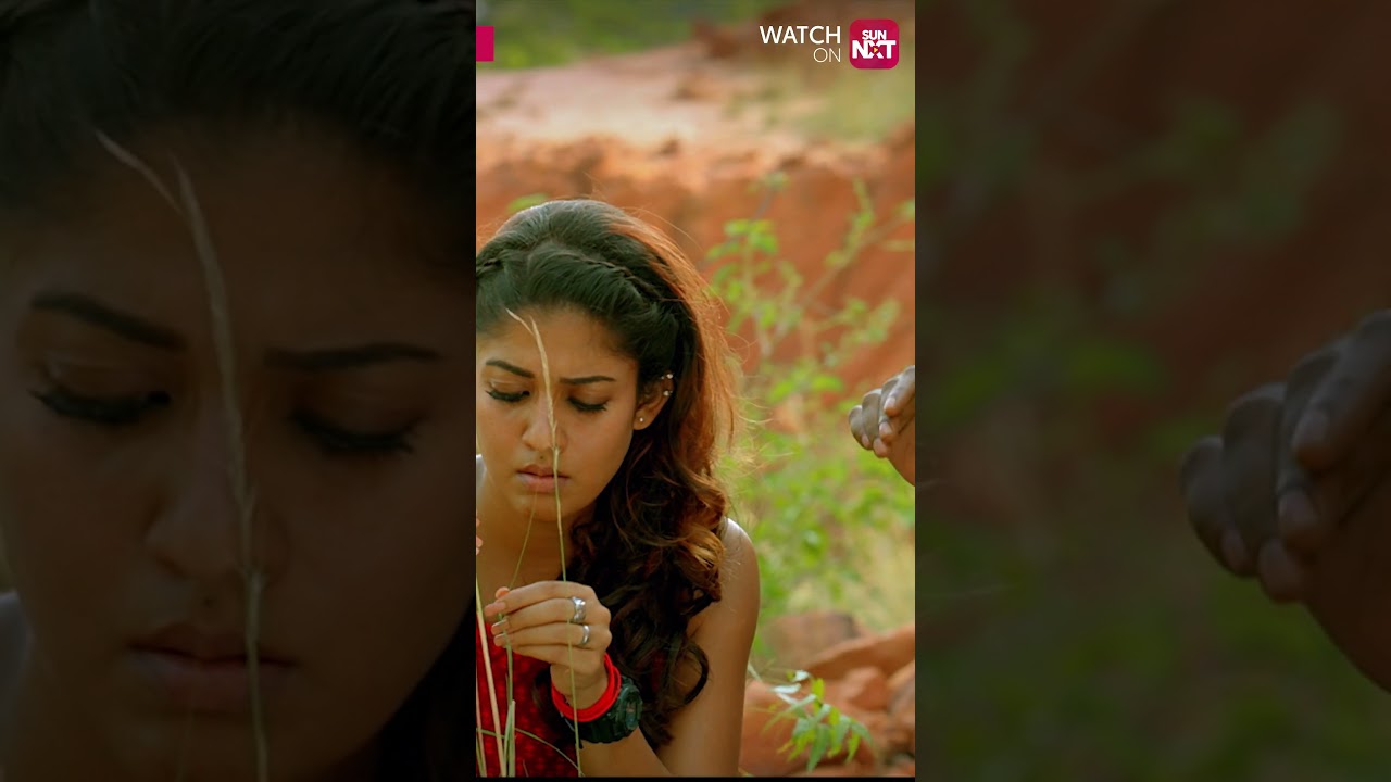 Are you Ok baby? 😍 #vijaysethupathi #nayanthara #vigneshshivan #sunnxt #shorts #naanumrowdythaan