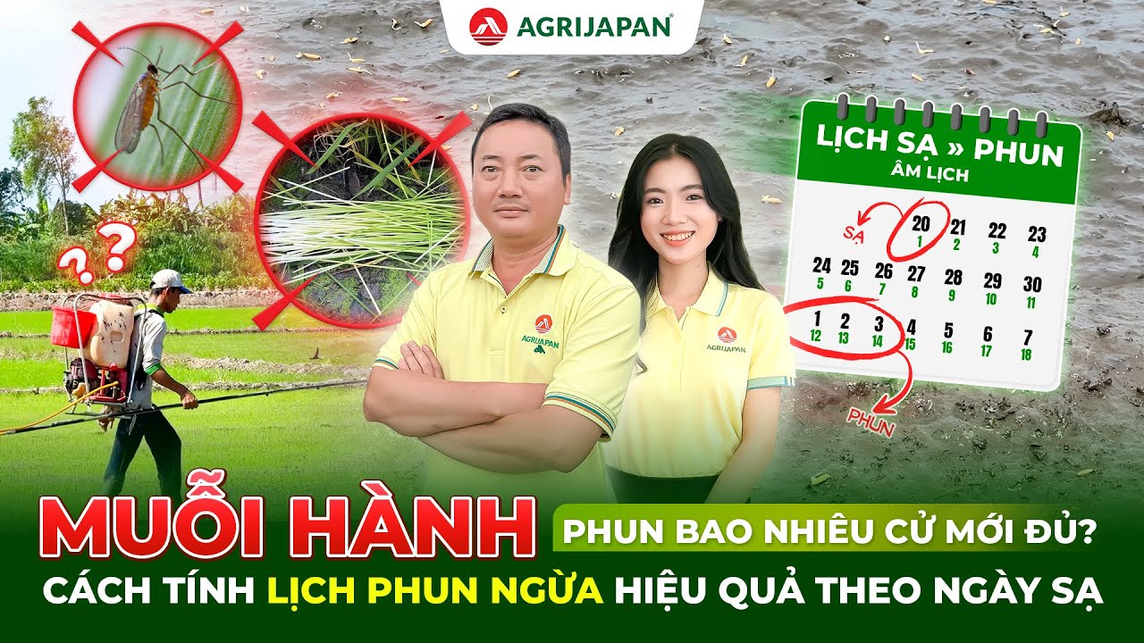 AgriJapan | MUỖI HÀNH phun bao nhiêu cử mới đủ? Cách tính LỊCH PHUN NGỪA HIỆU QUẢ theo NGÀY SẠ