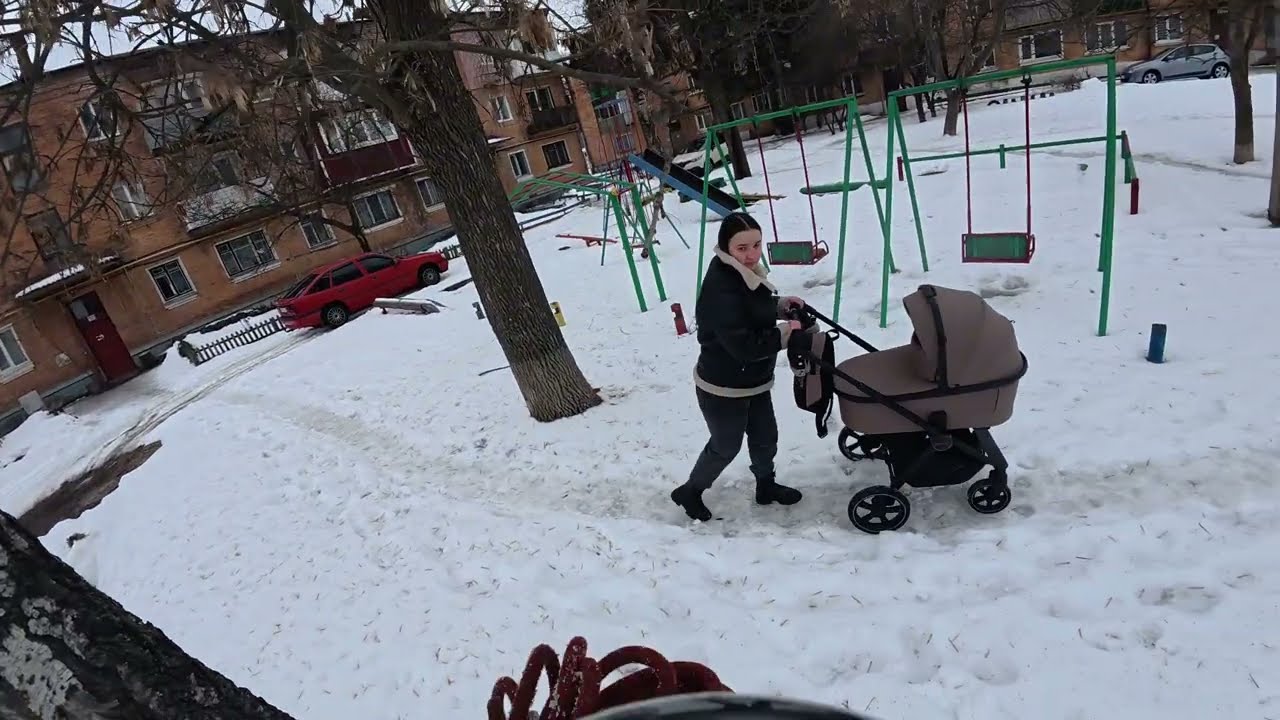@ArboristRomny Видалення берези 