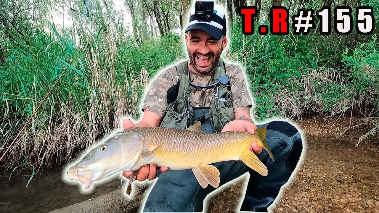 ⚠️TRUCO PARA PESCAR BARBOS A NINFA 🤷‍♂️