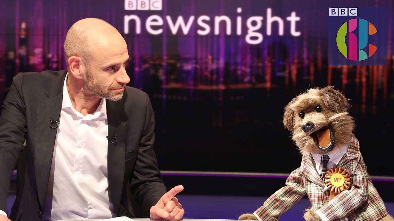 Can a dog be a politician? CBBC's Hacker runs for parliament!