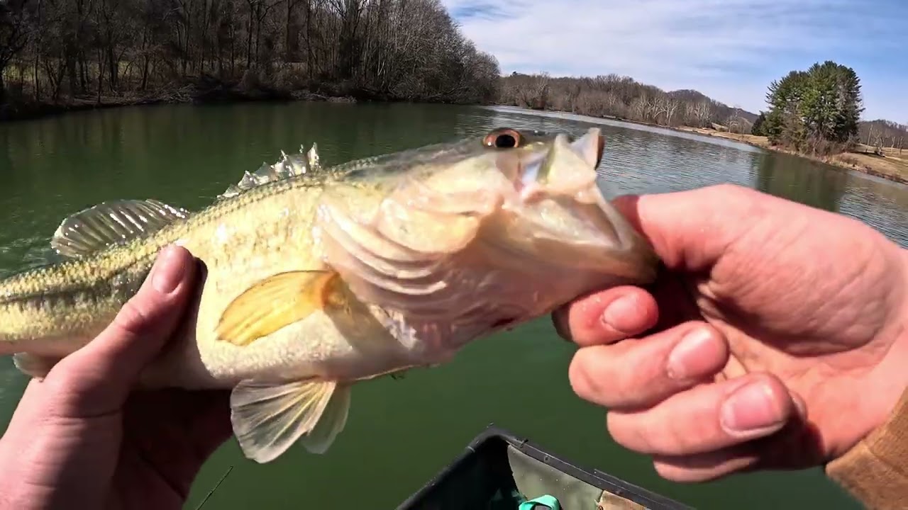 Fishing clear creek golf course 