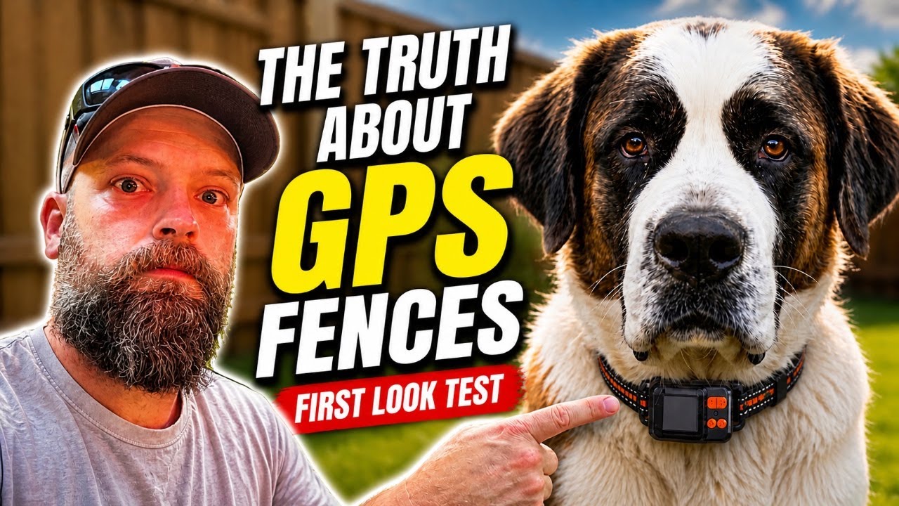 Pet Containment System | GPS Collar First Look