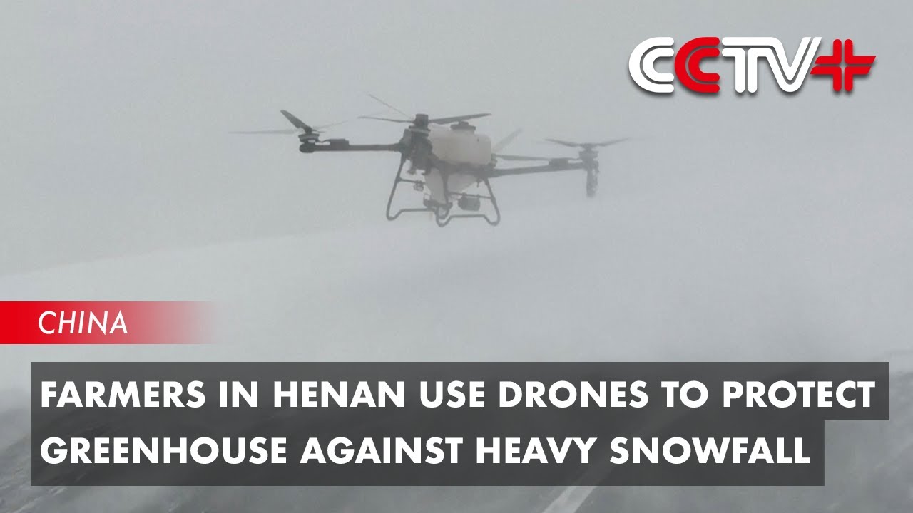 Farmers in Henan Use Drones to Protect Greenhouse Against Heavy Snowfall