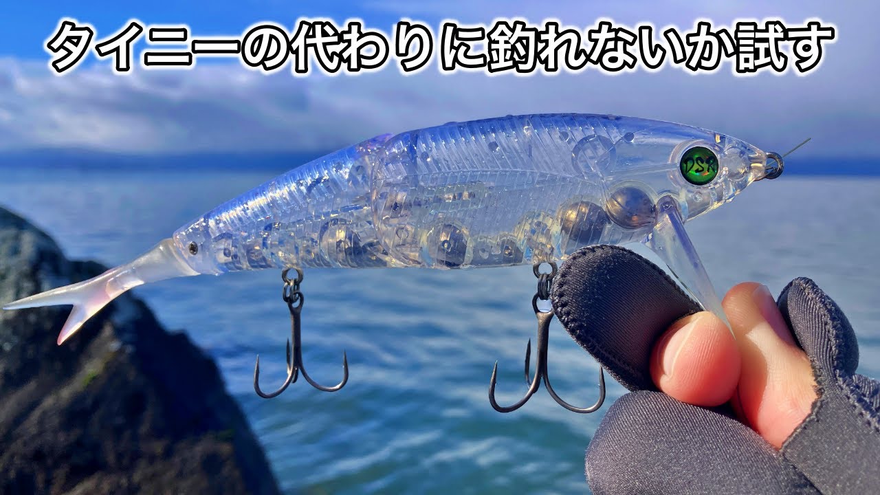 【バス釣り】タイニークラッシュの代わりにネコソギDSRが使えるんじゃないか？試してみる