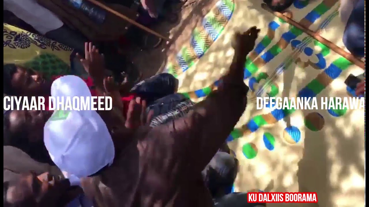 Ciyaar dhaqmeed Rag waawayni  jiibta iyo jaanta isla helayaan deegaankuna waa Harawa