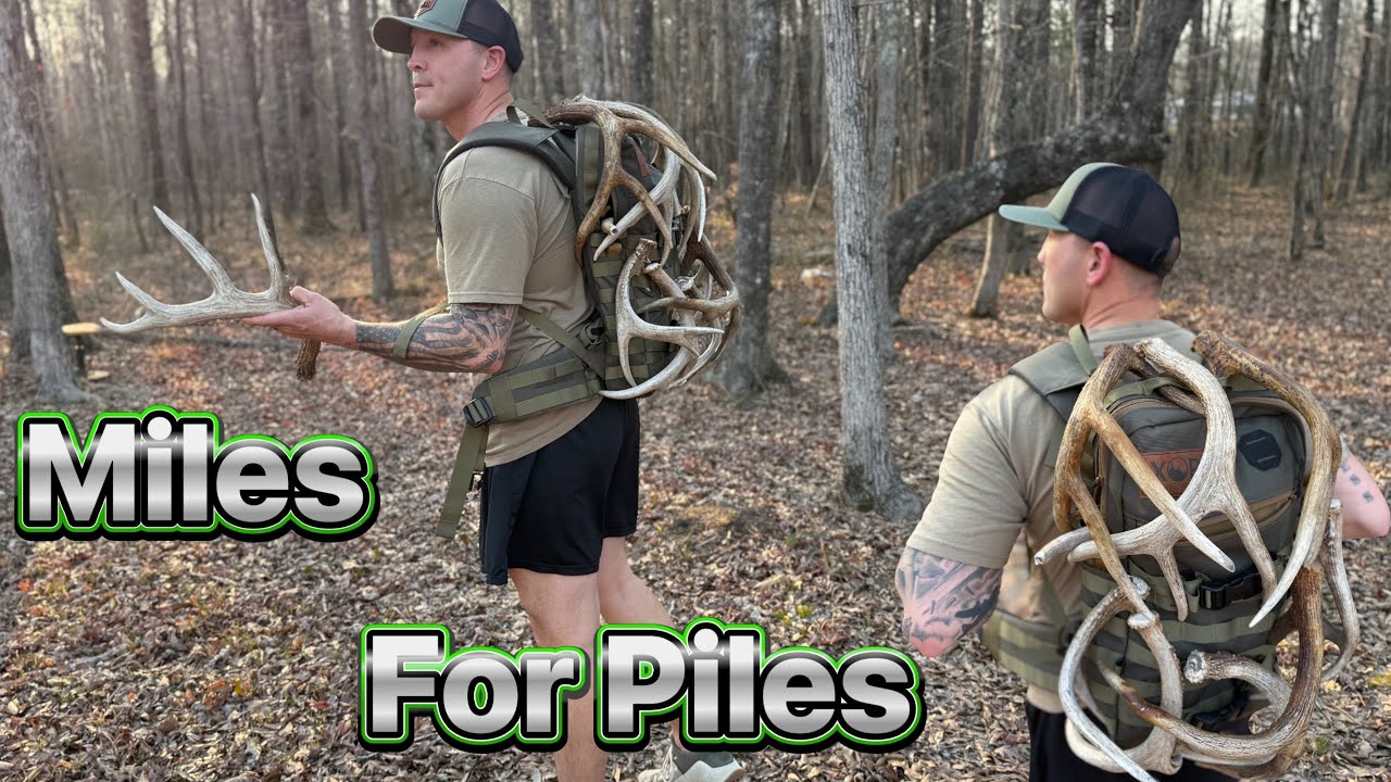 Shed Hunting // Whitetails // Deer Hunting // 2026 shed season