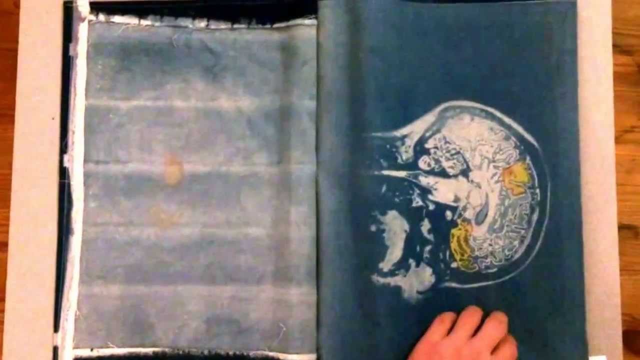 'Case Studies' cyanotype prints on calico with watercolours