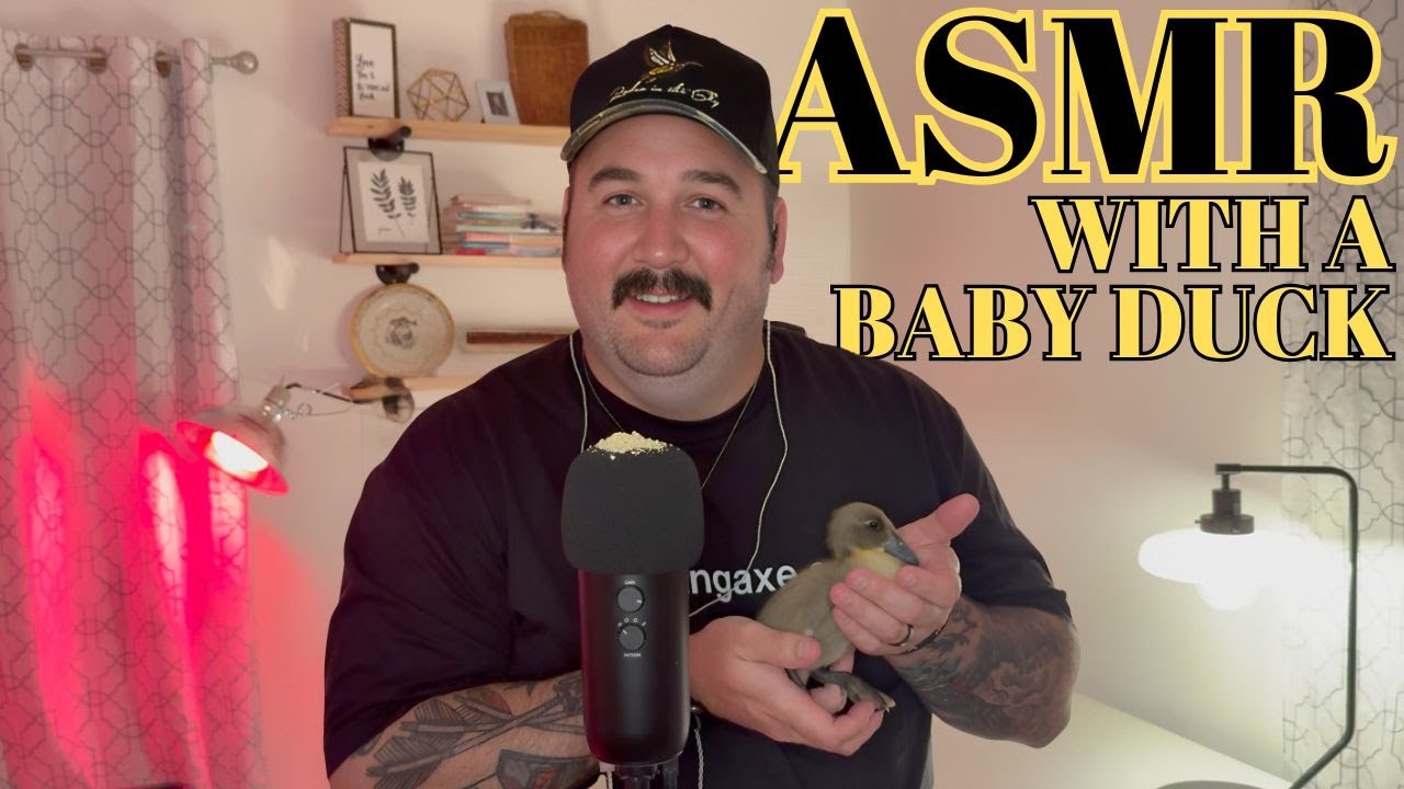 ASMR // ASMR with a Baby Duck