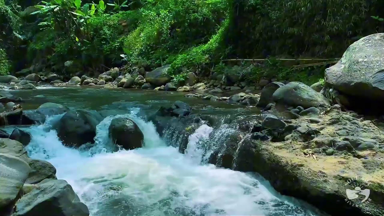 River Sounds & waterfall Sounds for Sleeping | Nature Stream for Relaxing & Stress Relief. #river 5