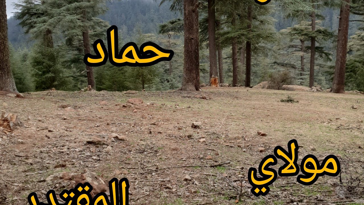 صوت فيه شجن ولحن وحنجرة دهبية الشاعر الكبير المقتدر مولاي حماد