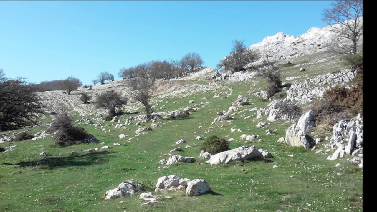 Lizarraga ( Urbasa )