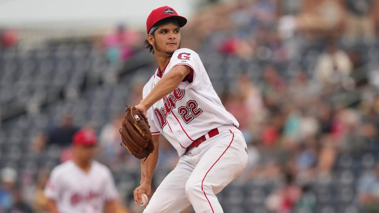 Luis Perales 2024 Minor League Highlights!