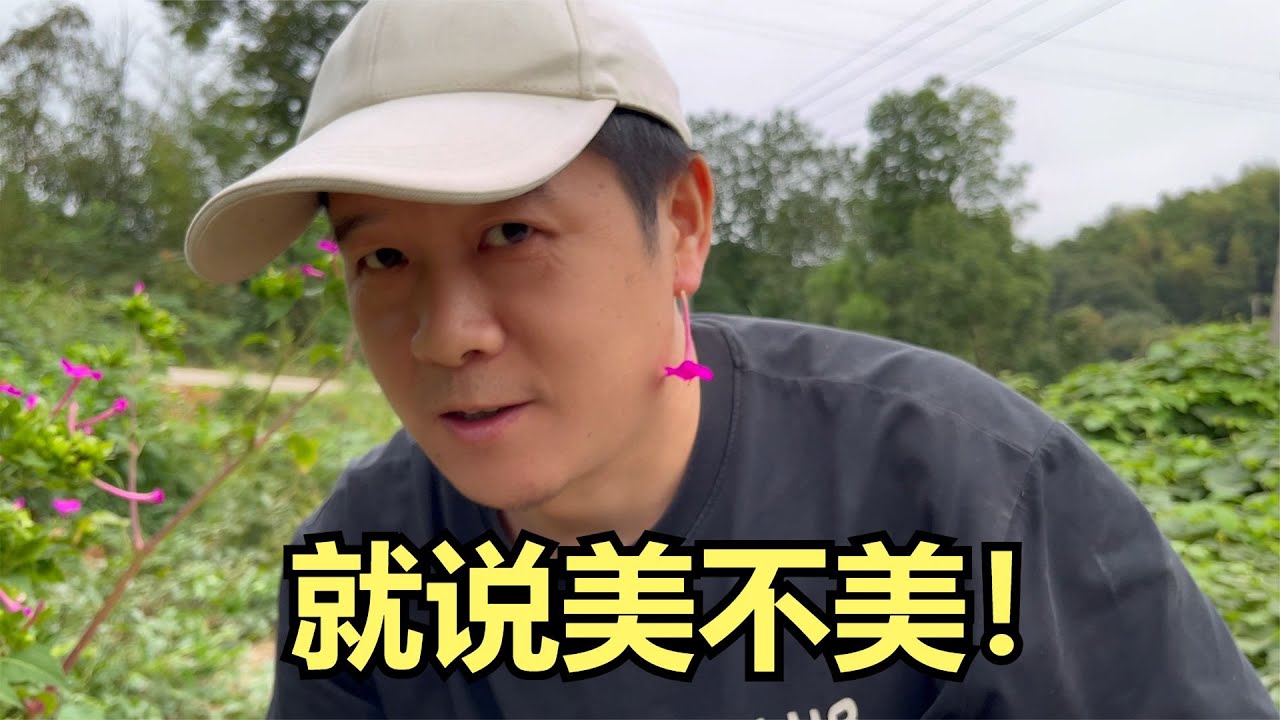 能勾起你童年回忆的花，紫茉莉