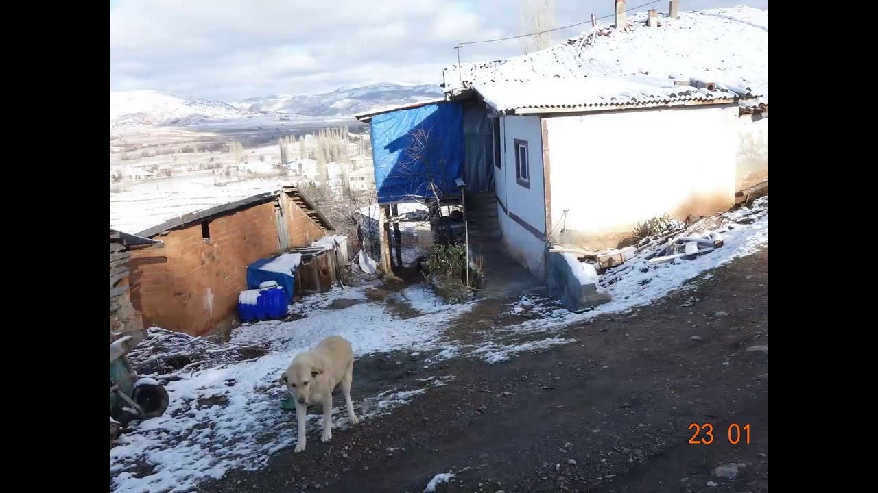 GÜZELBEYLİ KÖYÜ RESİM SLAYITI 23.01.2024