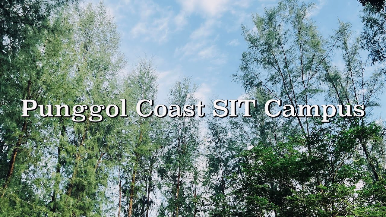 Punggol Coast SIT Campus 