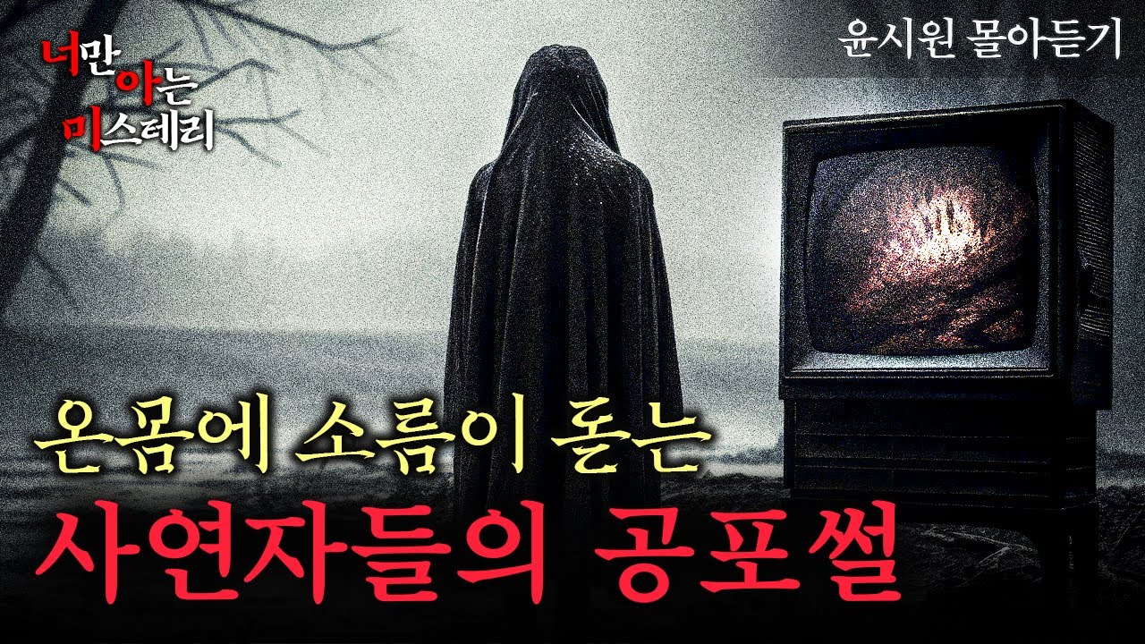 5개 사연 윤시원 라디오 몰아듣기 - 너만 아는 미스테리│#haunted #ghosthunting #Adventure