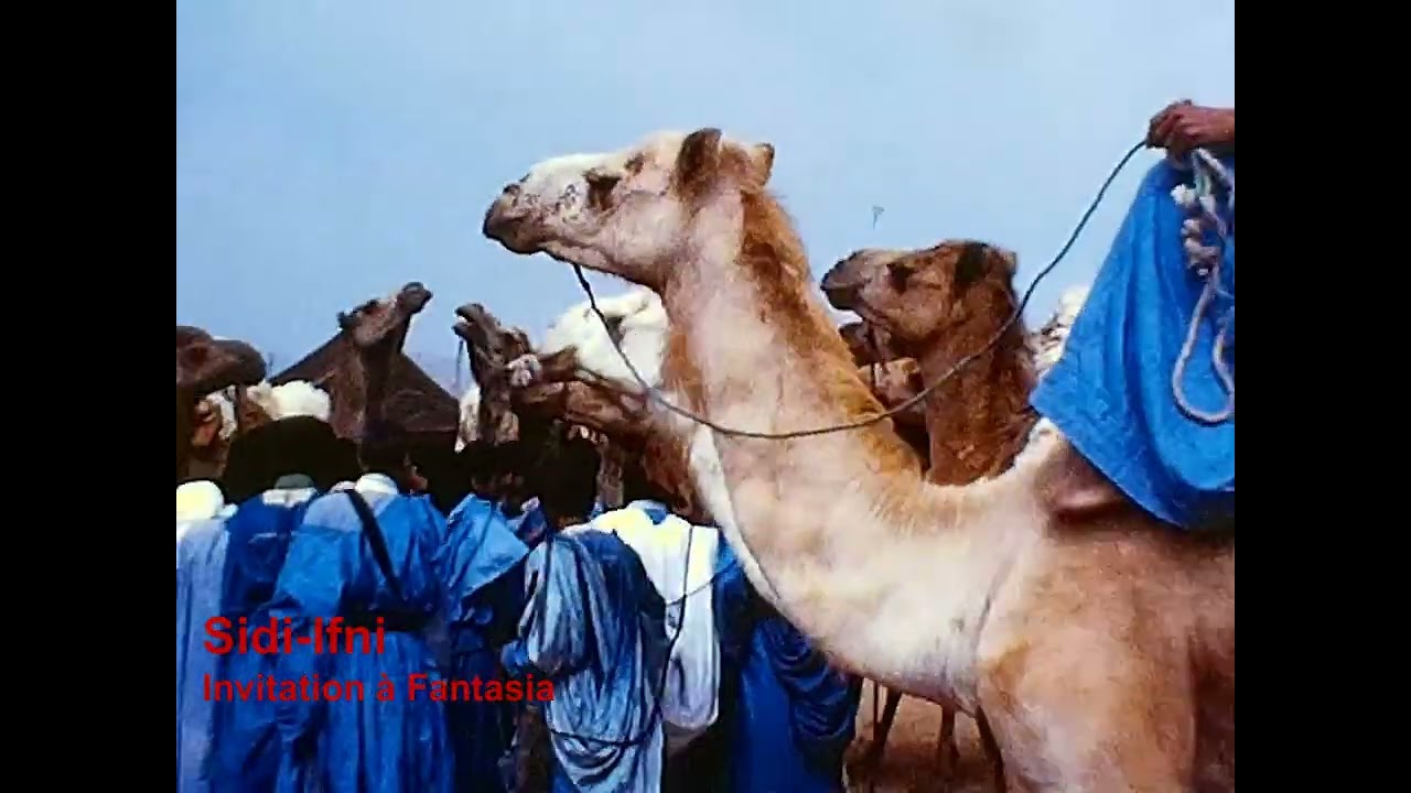 S8 1975 Maroc La côte atlantique de Tan-Tan à Tétouan